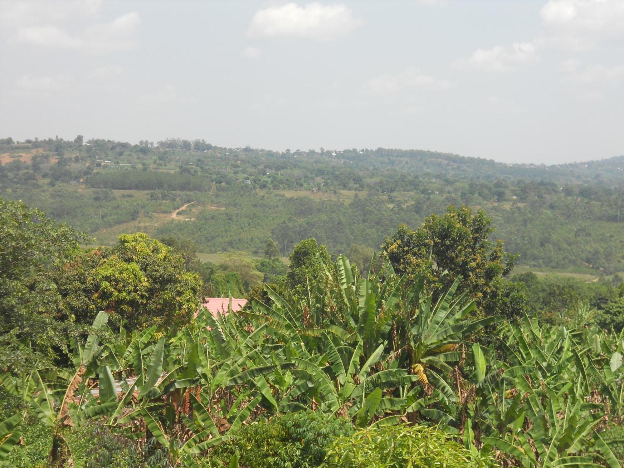 Masaka Backpackers, Tourists Cottage & Campsite 外观 照片